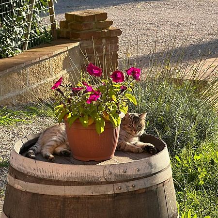 Fornace Del Conte Appartement Abbadia di Montepulciano Buitenkant foto