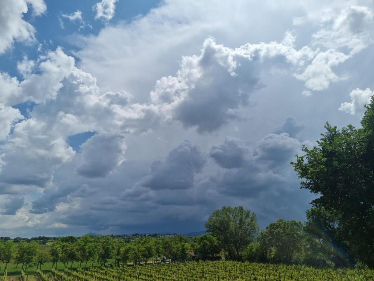 Fornace Del Conte Appartement Abbadia di Montepulciano Buitenkant foto