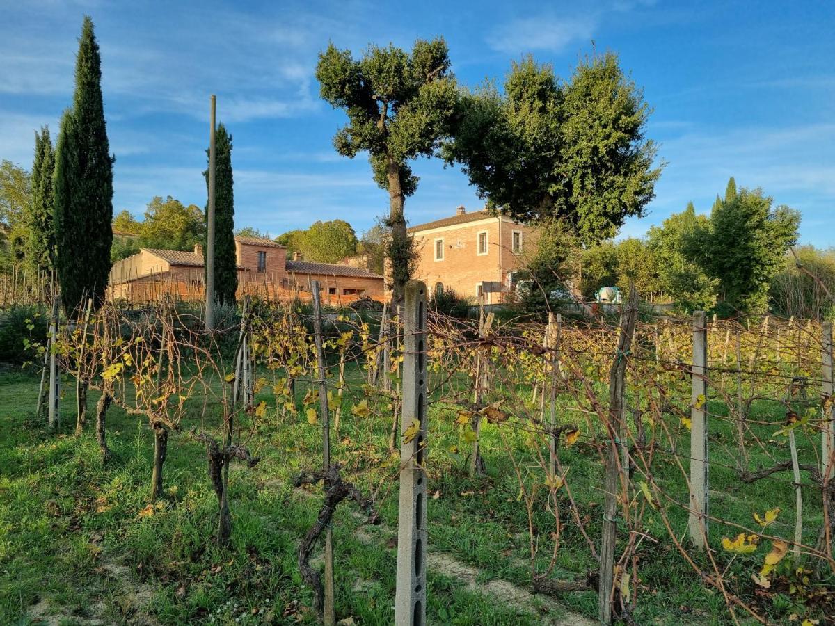 Fornace Del Conte Appartement Abbadia di Montepulciano Buitenkant foto