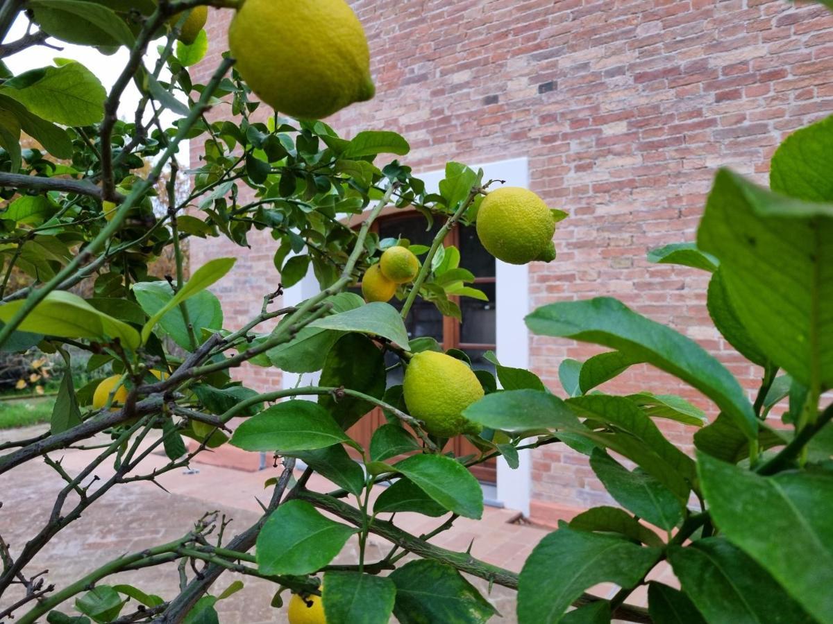 Fornace Del Conte Appartement Abbadia di Montepulciano Buitenkant foto