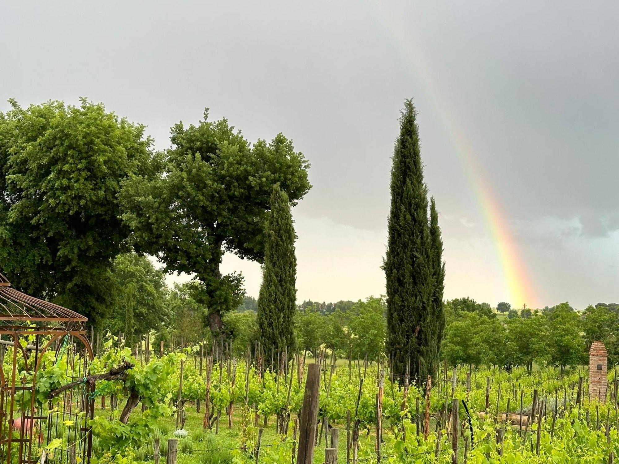 Fornace Del Conte Appartement Abbadia di Montepulciano Buitenkant foto