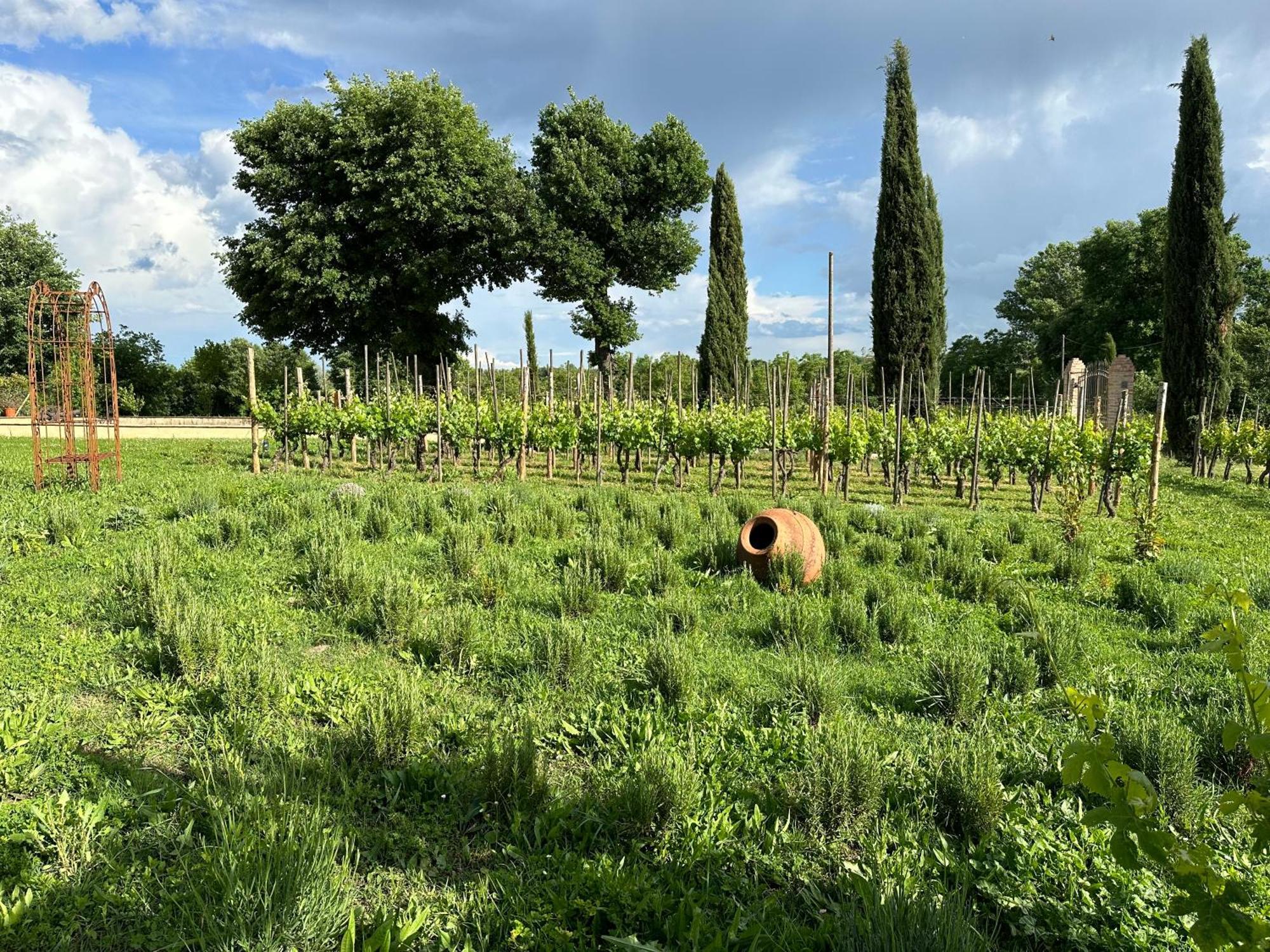 Fornace Del Conte Appartement Abbadia di Montepulciano Buitenkant foto