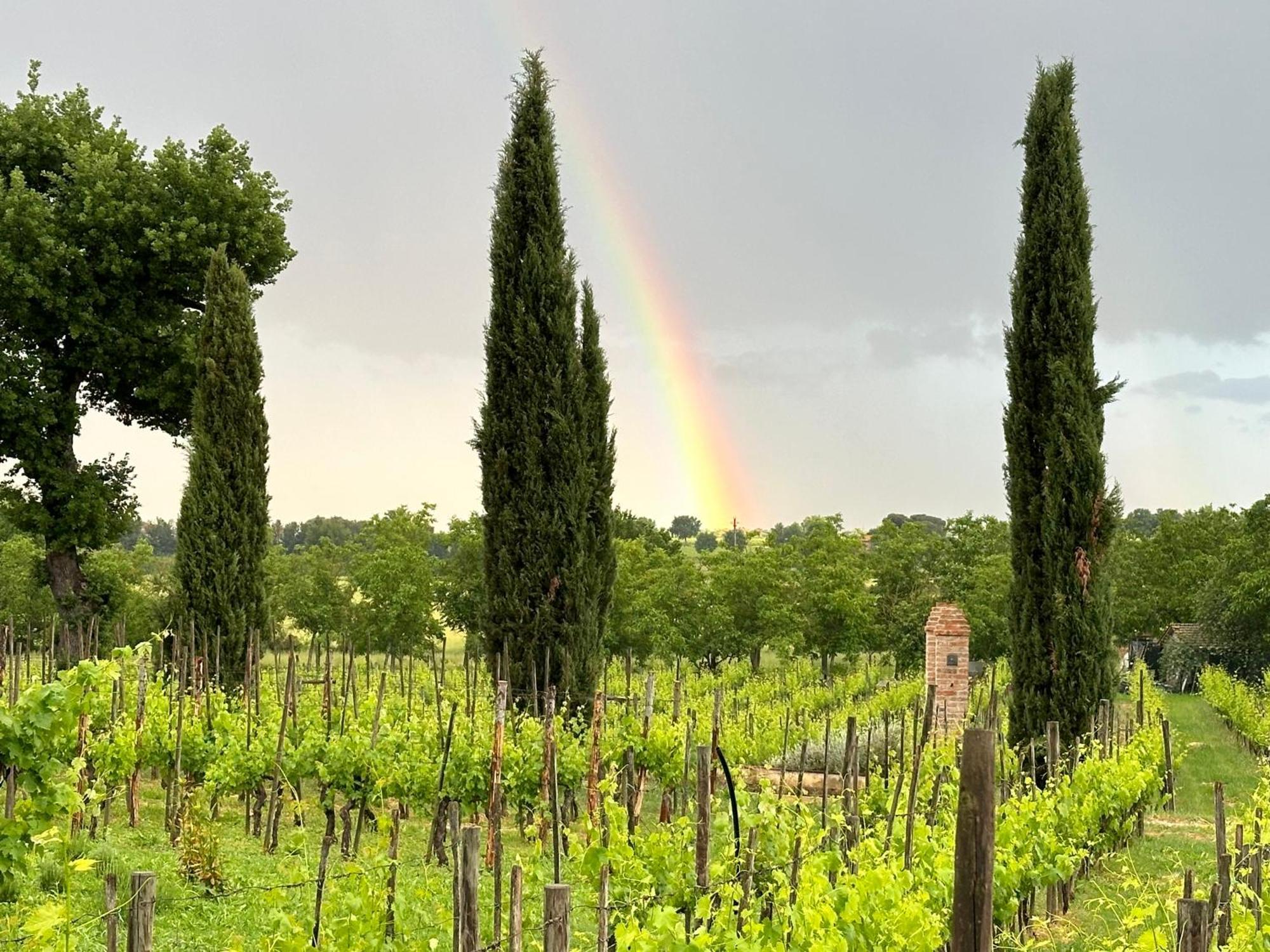 Fornace Del Conte Appartement Abbadia di Montepulciano Buitenkant foto