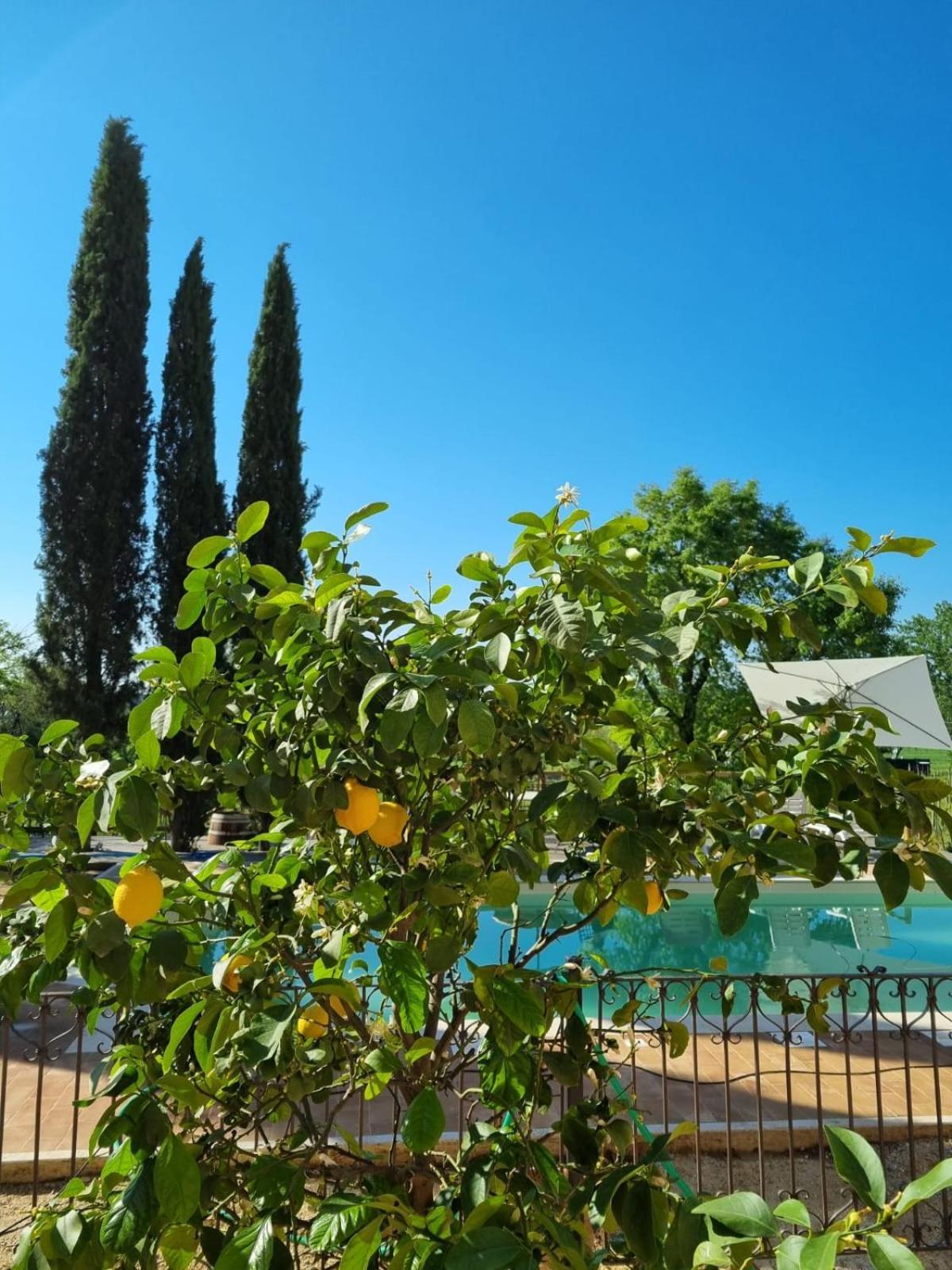 Fornace Del Conte Appartement Abbadia di Montepulciano Buitenkant foto